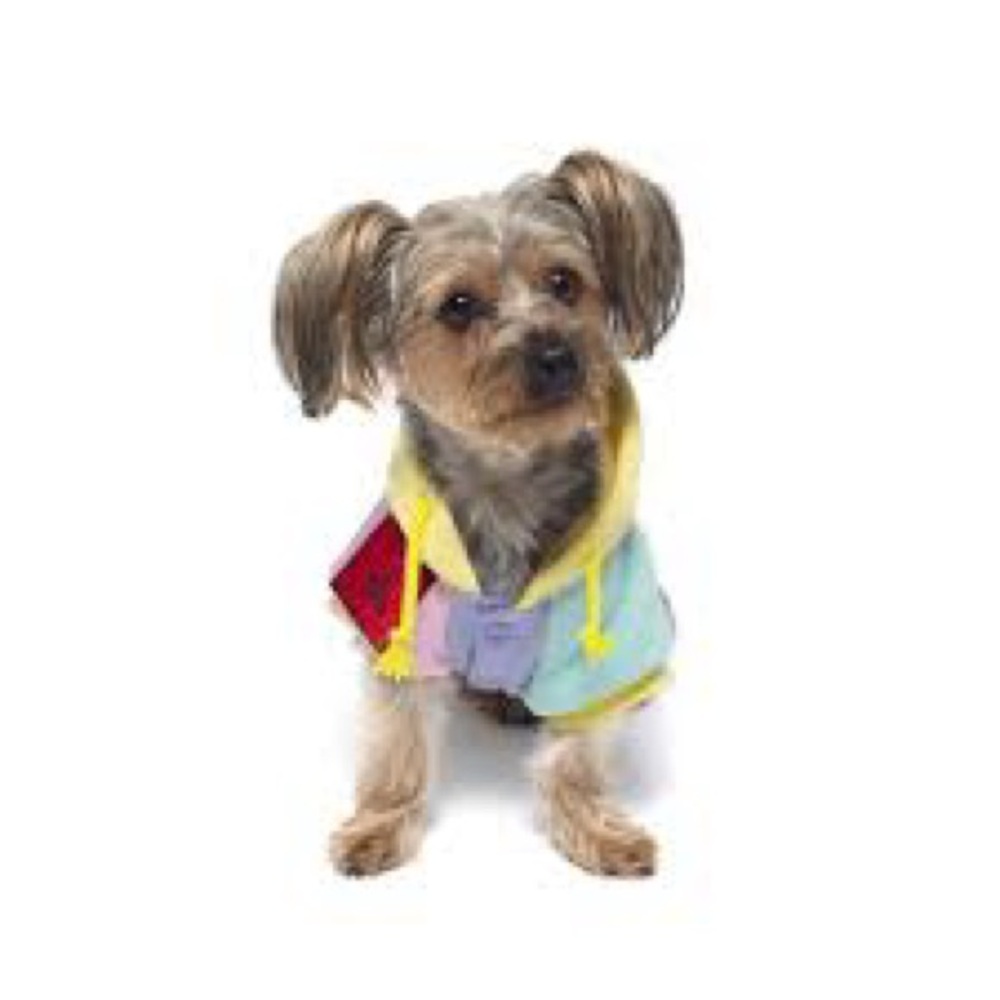 Teddy Fresh Pastel Colorblock Hoodie with Patch Small Dog